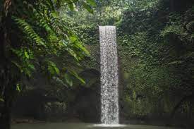 Jungle Waterfall Stock Photos Royalty Free Images Vectors Video Nature Backgrounds Waterfall Background