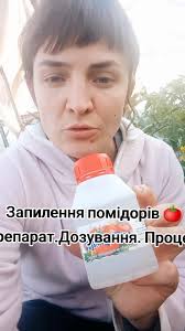 Запилення помідорів: процес і дозування