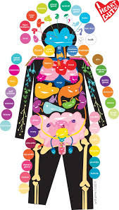 About Your Guts I Heart Guts Science For Kids Science Experiments Kids Science