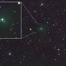 Sophie Elodie- alluring solo shemale