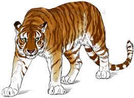 I put soooo much work into this drawing, so i really hope at least some of it shows. 26 Golden Tabby Tiger Ideas Golden Tabby Tiger Golden Tabby Tabby