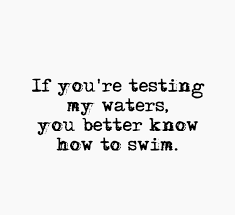 101 Attitude Quotes And Sayings About Haters That Are Timelessly Cool Insulting Quotes Hater Quotes Funny Quotes About Haters