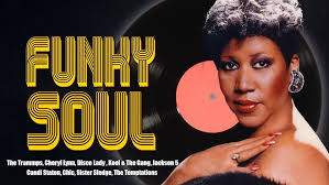 Funky Soul Classics RnB SOUL MIX📀Cheryl Lynn,Rick James,S.O.S Band,Earth  Wind_funky soul classic