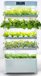 Minimalist indoor wall vertical garden Family Sized Indoor Gardens Hydroponic Indoor Vertical Garden