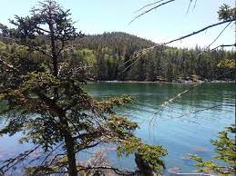 Duck harbor campground is located on isle au haut, a rugged island off the coast of stonington, maine. Duck Harbor Campground Acadia National Park Recreation Gov