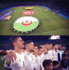 باح التأهل باذن الله يارب نصرك Dz Lesverts Teamdz Lesfennecs Algerien Algerianfood Algerianblogger Algerienne A Algerie Foot Alger Insta