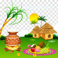 Holidaypng provides free download of pongal holiday png as thai pongal for your web sites, project, art design or presentations. Thai Pongal Makar Sankranti Wish Mattu Harvest Festival Plant India Cottages Transparent Png