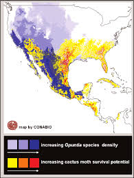 A contribution toward a revision of the american pyralidoid moths of the family phycitidae. 2