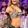 The #1 wwe news destination. Https Encrypted Tbn0 Gstatic Com Images Q Tbn And9gctp6tcybk Vs17quh7lfl Afqwlrl Iin7 5ri0gpm Usqp Cau