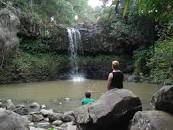 Image result for twin falls rainforest maui