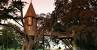 Island Tree House Rentals