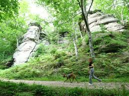 Camilla araujo leaked shower video It serves as a reminder