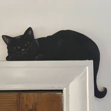 Gifts For Black Cat Lovers The Cat Gallery Find the puuuuurfect present for you and your kitty with our range of pawsome cat gifts!