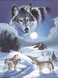 Image of funny wolves gifs and animations gifsparty com. Wolves Gif Download Share On Phoneky