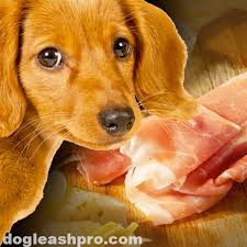Feeding dogs a diet rich in soybeans, like a human vegetarian diet, won't give your dog the quality protein he needs. Can Dogs Eat Prosciutto Dog Leash Pro