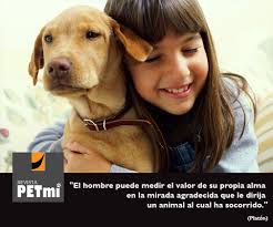 Revista PETmi