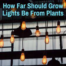 Advantages of led grow lights. How Far Should Grow Lights Be From Plants Hid Led T5