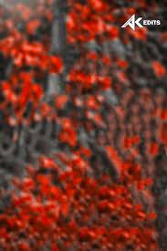 Download Png Background Images Hd For Editing Picsart Download Png Gif Base Hd Background Download Background Images Hd Hd Backgrounds