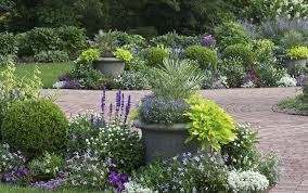 Im idealfall wählt man ein sonniges plätzchen auf der südseite, dann kann auch die schwache wintersonne noch ein paar wärmende strahlen schicken. Palmen Fur Den Garten Winterharte Arten Und Pflegetipps Palmen Garten Gartendesign Ideen Bepflanzung
