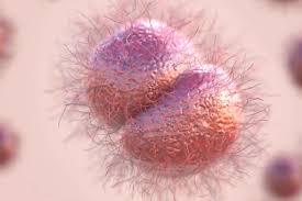 Image result for gonorrhea symptoms