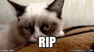 So here is all of the cat memes i did make (◉‿◉) (reddit.com). Grumpy Cat Meme Generator Page 1 Line 17qq Com