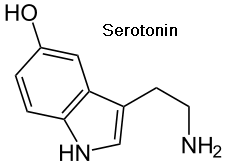 Brain Neurotransmitter Serotonin Gif 227 165 Serotonin Molecule Neurotransmitters Serotonin Chemical Structure