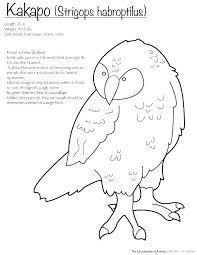 New Zealand Coloring Pages Extinct Animals Coloring Pages Camouflage Coloring Pages Coloring Page By A Bird Coloring Pages Coloring Pages Animal Coloring Pages