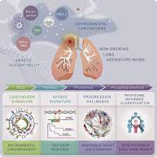 Lung cancer can be caused by many risk factors other than smoking cigarettes. Proteogenomics Of Non Smoking Lung Cancer In East Asia Delineates Molecular Signatures Of Pathogenesis And Progression Sciencedirect