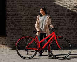 It is different from an electric moped or scooter since the rider has the ability to control the intensity of the pedalling by selecting the level of assist. Light E Bike Models With Hidden Battery Ampler Bikes
