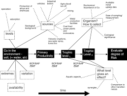 Image result for Vernonia suprafastigiata