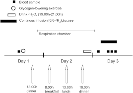 flow chart of an experimental session of the study in which