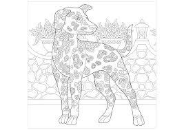 Maybe you would like to learn more about one of these? Mandala Dieren Hond Pin Van Diane Klaassen De Jonge Op Kleuren Kleurplaten Mandala Kleurplaten Honden