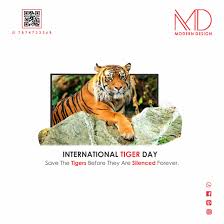 Tigers are one of the rarest species of the world. International Tiger Day Save The Tiger Tiger Silence