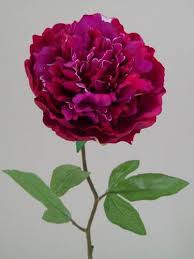 Check spelling or type a new query. Real Touch Peony Magenta Artificial Flowers