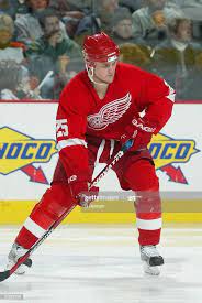 Darrin Mccarty Detroit Red Wings Red Wings Detroit