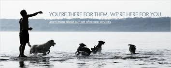 Maybe you would like to learn more about one of these? Pet Memorial Services Cremation Urns Jewelry Memorials