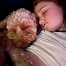 Is there anywhere I can get hold of an actual person at the dvla to speak  to. I have rung several times, but every time it tells me there is a 30