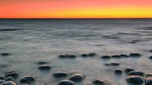 Life is a thing that mutates without warning, not always in enviable ways. How An Ancient Cataclysm May Have Jump Started Life On Earth Science Aaas