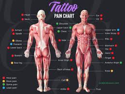 125 Tattoo Designs Ideas About Tattoo Pain Chart Body