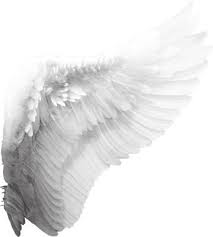 Black And White Angel Wings Aesthetic Wings Png Wings Png White Angel Wings Angel Wings Png