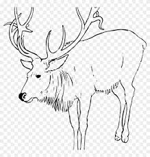 The arctic is changing — fast. Reindeer Clipart Black And White Santa Clipart Hatenylo Arctic Reindeer Coloring Pages Png Download 2151390 Pikpng