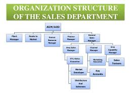 Image Result For Sales Department Structure Sales
