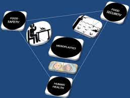These issues are evidently major problems themselves and by addressing these problems we can address the root problems of food insecurity. Marine Microplastic Debris An Emerging Issue For Food Security Food Safety And Human Health Sciencedirect