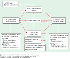 Diseases Caused By Gram Negative Bacteria Harrisons