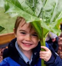 CuriosityCast: Guy Buckley-Sharp