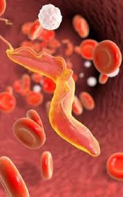 Cauze lovituri pronunțate sub ochi. Vas De Sange Spart La Ochi Divahair Ro