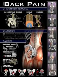 Pin On Fitness Health