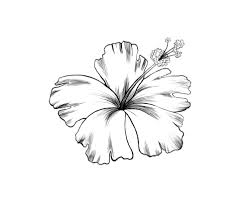 Sunflower tattoos are cute, vibrant and energetic, offering the gift of life and growth. 25 Black And White Flower Tattoos