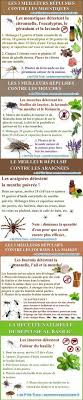 Les 5 Meilleurs Repulsifs Naturels Contre Tous Les Insectes Insectes Remedes Naturels Trucs Et Astuces