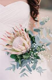 2021 Trending 25 Amazing Proteas Wedding Bouquets Oh Best Day Ever Protea Wedding Babys Breath Bouquet Wedding Protea Bouquet